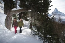 Best ski resorts for non skiers - Zermatt, Switzerland