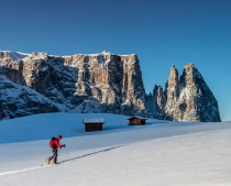 Alpe di Siusi (Seiser Alm), Italy