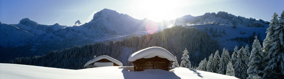 Snow-wise - experts in tailor-made luxury ski holidays